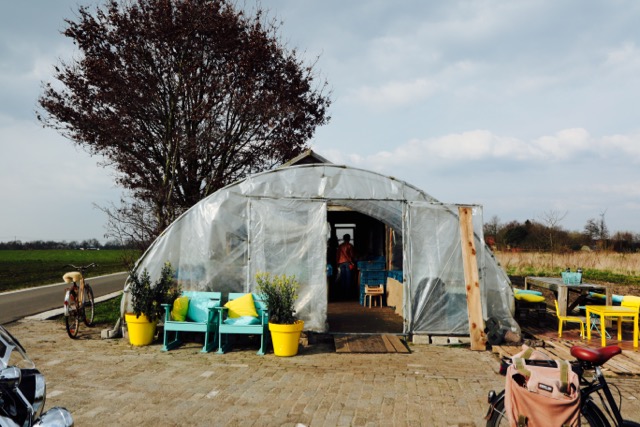 kempengoud - 8