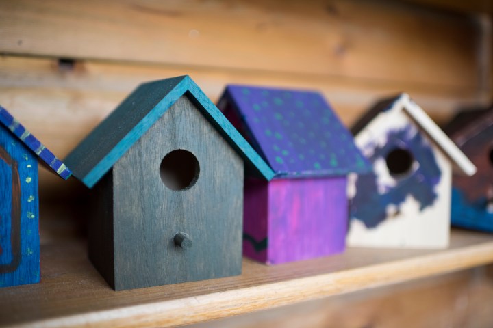 Kleine Revolutie - Reportage Kinderdagverblijf De Oase